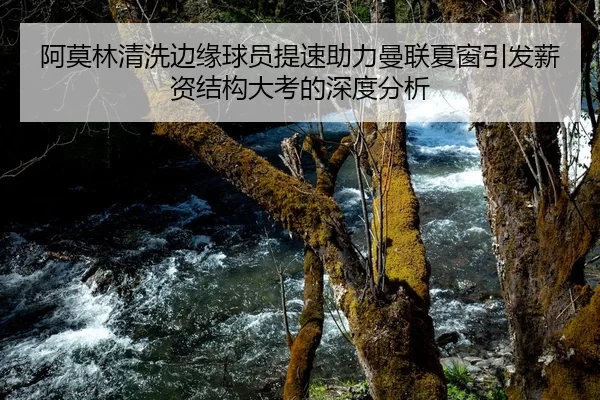 阿莫林清洗边缘球员提速助力曼联夏窗引发薪资结构大考的深度分析