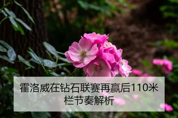 霍洛威在钻石联赛再赢后110米栏节奏解析
