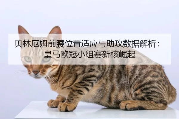 贝林厄姆前腰位置适应与助攻数据解析：皇马欧冠小组赛新核崛起