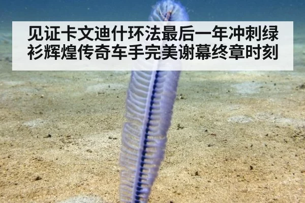 见证卡文迪什环法最后一年冲刺绿衫辉煌传奇车手完美谢幕终章时刻