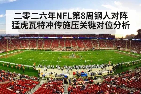 NFL stadium crowd night